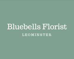 Bluebells Florist Leominster