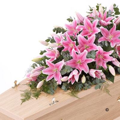 Lily Casket Spray   Pink